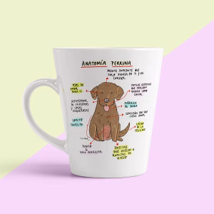 Taza cónica Anatomia Perruna